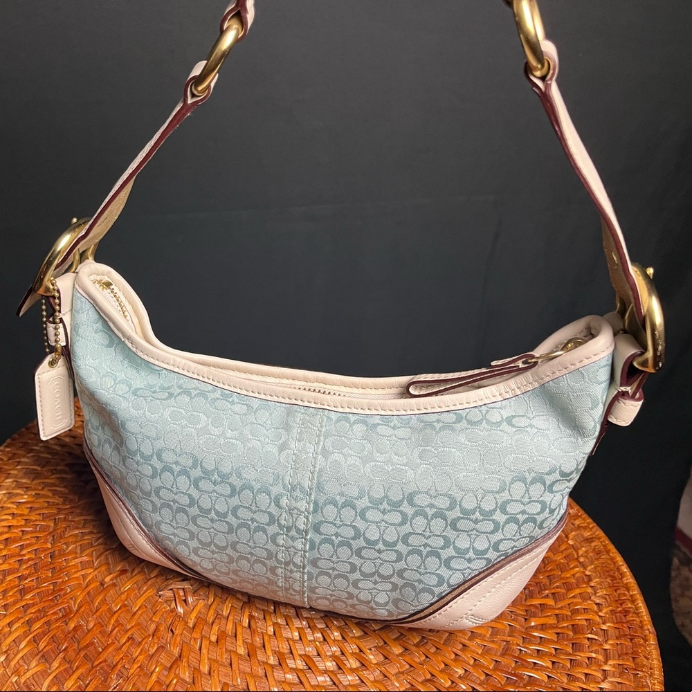 Vintage Coach Bag
